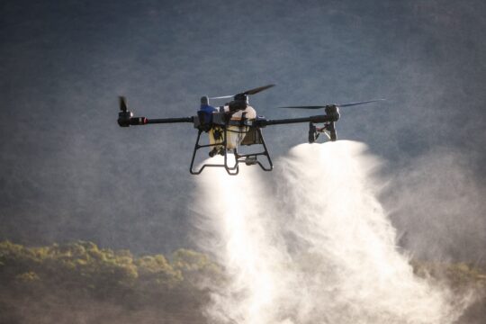 Pesticides thrown on lands